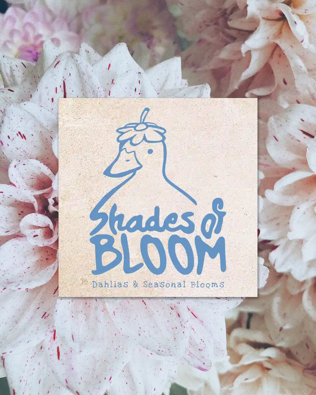 Shades of Bloom — flower brand identity